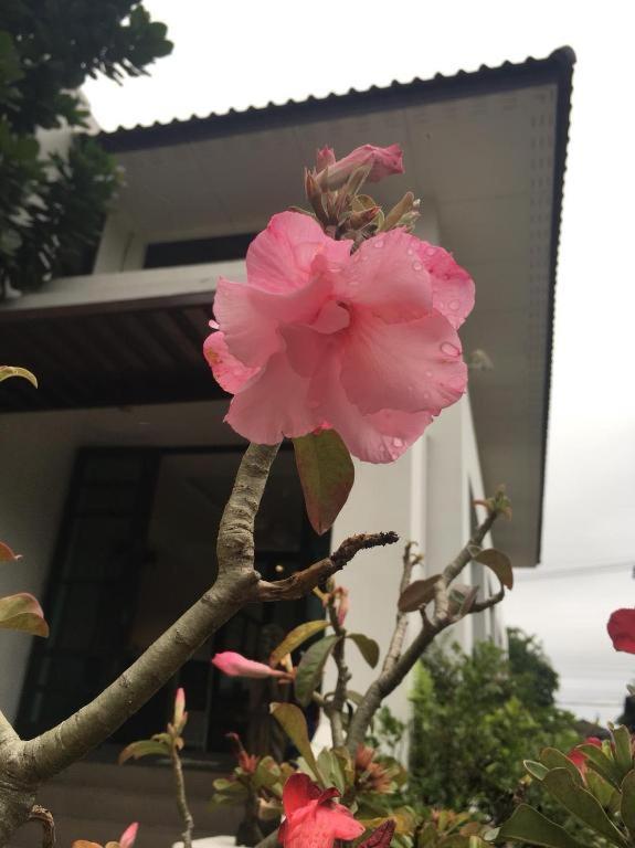 Baan Nan B&B Hotel מראה חיצוני תמונה