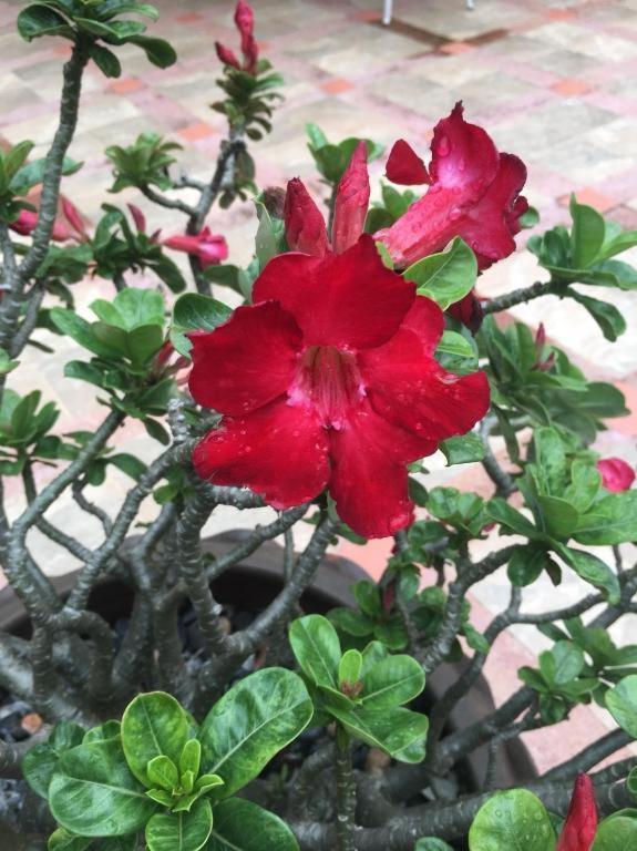 Baan Nan B&B Hotel מראה חיצוני תמונה