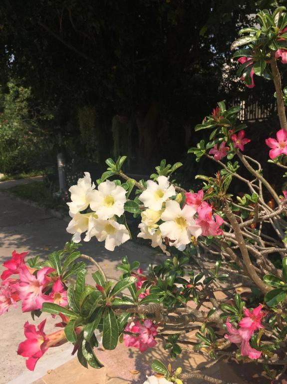 Baan Nan B&B Hotel מראה חיצוני תמונה
